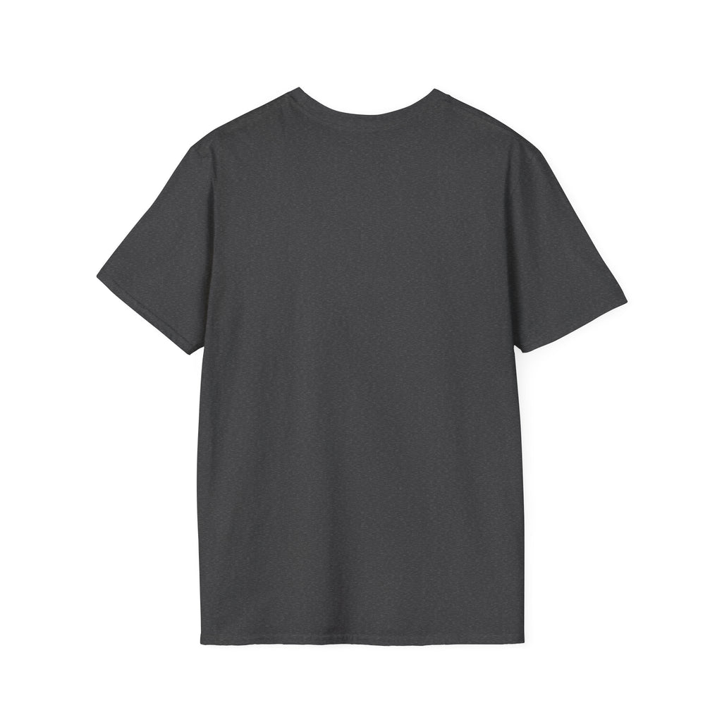 Romance Reader Energy T-Shirt (Teal text)